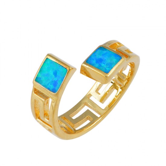 Δαχτυλίδι με Opal Πέτρα από Ασήμι 925 Επιπλατινωμένο