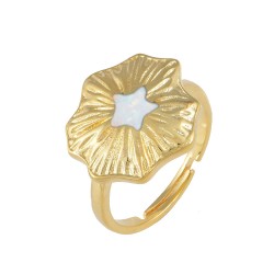 Δαχτυλίδι με Opal Πέτρα από Ασήμι 925 Επιπλατινωμένο