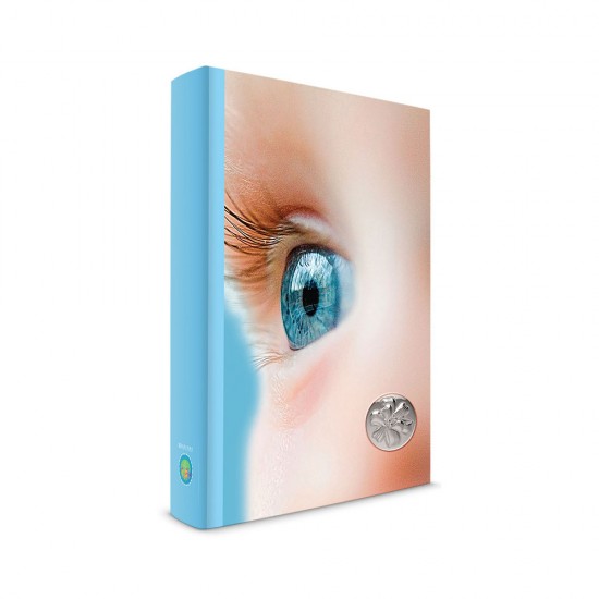 Αλμπουμ με Σχέδιο Φιογκάκι