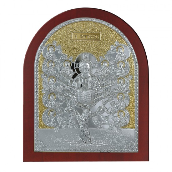 Αμπελος 5.5x4